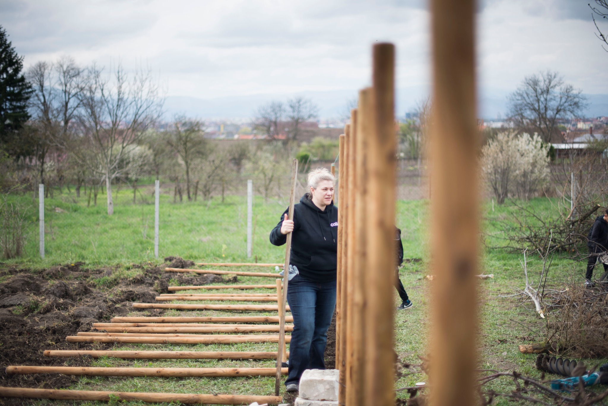 Șura Culturală Gușterița 16